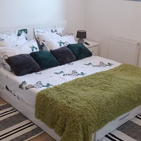 Moonlight Apartments Сібіу Екстер'єр фото